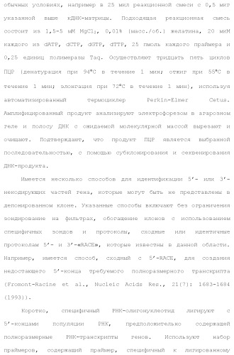 Слитые белки альбумина (патент 2369404)