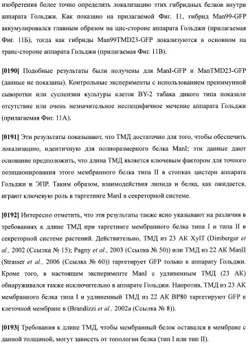 Набор последовательностей для таргетинга экспрессии и контроля посттрансляционных модификаций рекомбинантного полипептида (патент 2481399)