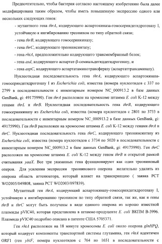 Способ получения l-треонина с использованием бактерии, принадлежащей к роду escherichia, в которой инактивирован оперон ycbponme (оперон ssueadcb) (патент 2392326)