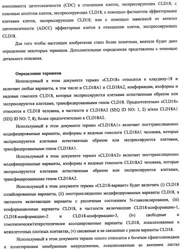 Моноклональные антитела к клаудину-18 для лечения рака (патент 2445319)