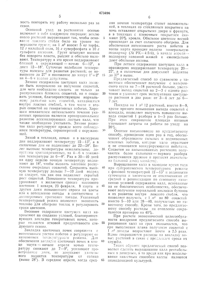 Способ выращивания каллы эфиопской в теплицах (патент 473496)