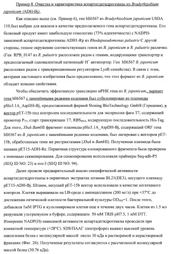 Бактерия семейства enterobacteriaceae - продуцент l-аспарагиновой кислоты или метаболитов, производных l-аспарагиновой кислоты, и способ получения l-аспарагиновой кислоты или метаблитов, производных l-аспарагиновой кислоты (патент 2472853)