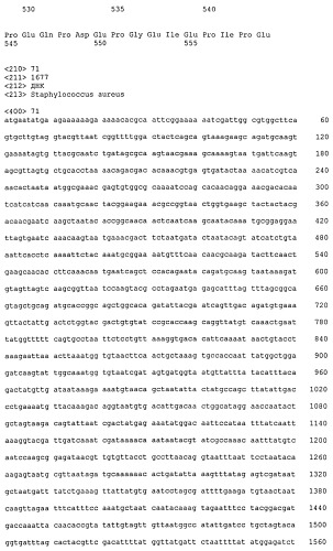 Иммуногенные композиции антигенов staphylococcus aureus (патент 2536981)