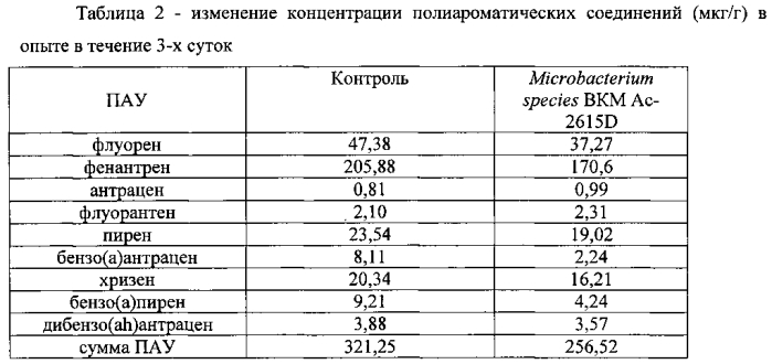 Штамм microbacterium species для очистки солоноватоводных и морских экосистем от нефти и нефтепродуктов (патент 2553335)