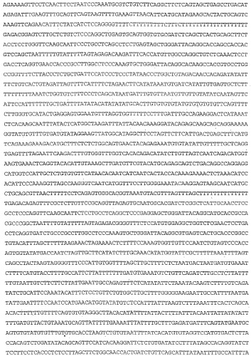 Применение s1p (патент 2362565)