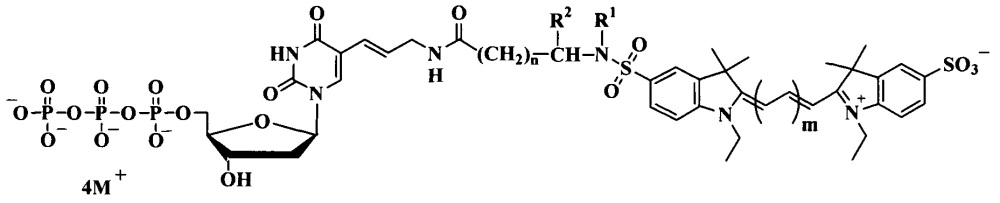 Дезоксиуридинтрифосфаты, связанные с цианиновыми красителями сульфамидоалкильными линкерами, для использования в пцр (патент 2667070)