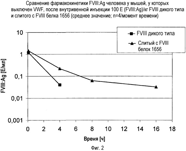 Модифицированный фактор виллебранда с удлиненным полупериодом существования in vivo, его применения и способы получения (патент 2528855)