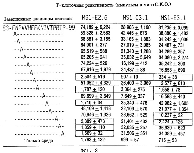 V-d-j олигонуклеотид т-клеточного рецептора, пара праймеров, олигонуклеотидный зонд, способ обнаружения клона mbp83-99v13.1 т-клеток, экспрессирующих мотив lgraglty т-клеточного рецептора, набор, способ лечения аутоиммунного заболевания и способ его мониторинга (патент 2251552)