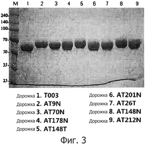 Новый вариант альфа-1-антитрипсина, способ его получения и применения (патент 2567007)