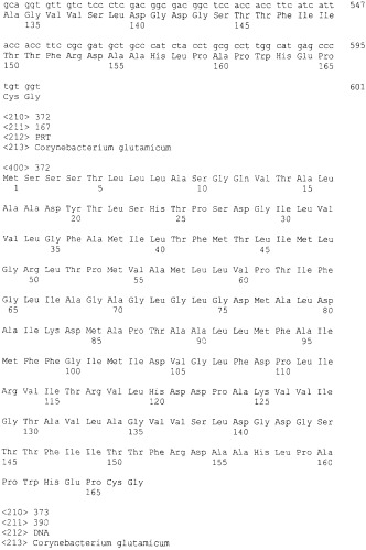Гены corynebacterium glutamicum, кодирующие белки, участвующие в гомеостазе и адаптации (патент 2304616)