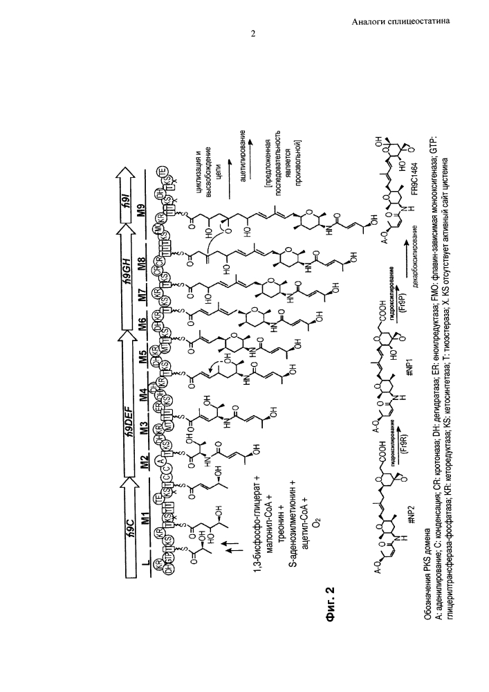 Аналоги сплицеостатина (патент 2618523)