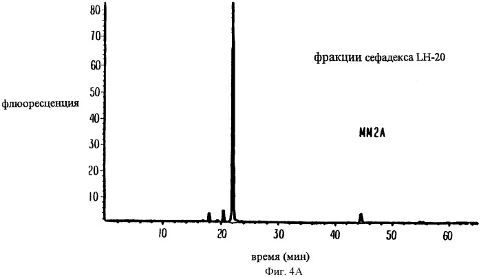 Соединение экстракта какао и способы их получения и применения (патент 2394562)