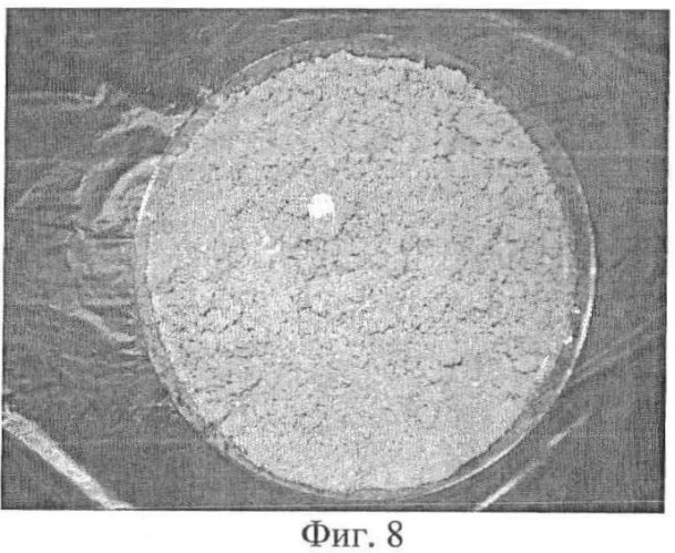 Способ получения селенсодержащего препарата биомассы laetiporus sulphureus mz-22 (патент 2473679)
