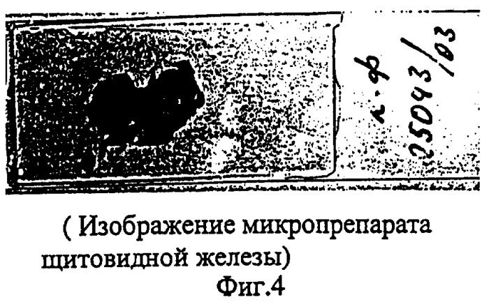 Способ микроскопического исследования образца (патент 2318201)