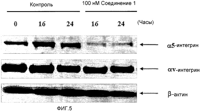 Модуляция воспалительных и метастатических процессов (патент 2377988)