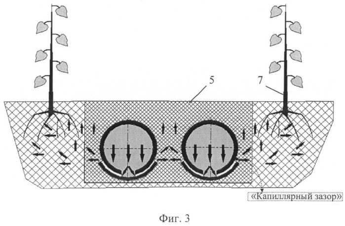 Способ капиллярного орошения из закрытого грунта плодовых деревьев и виноградника (вариант русской логики - версия 4) (патент 2532100)