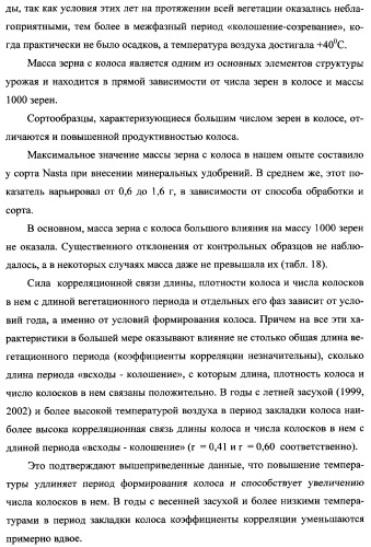 Способ возделывания яровой пшеницы предпочтительно в зоне светло-каштановых почв нижнего поволжья (варианты) (патент 2348137)