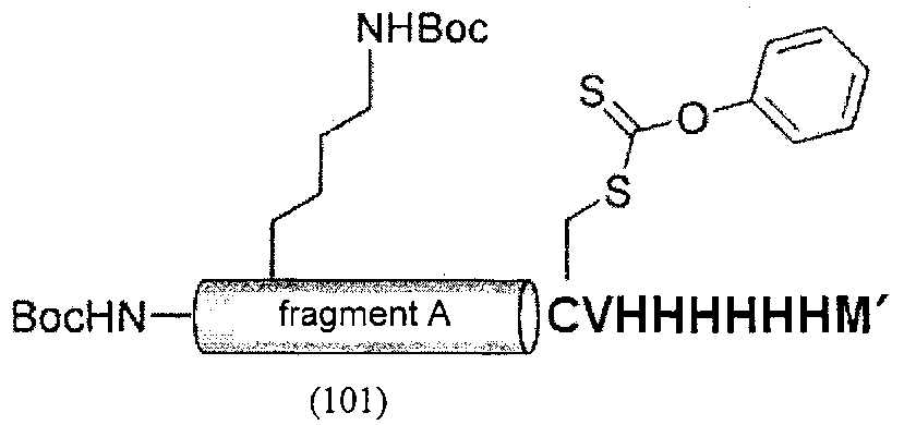 Способ высокоэффективного получения полипептидного фрагмента, подходящего для ncl (патент 2605411)