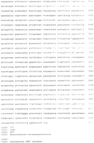 Pscaxcd3, cd19xcd3, c-metxcd3, эндосиалинxcd3, epcamxcd3, igf-1rxcd3 или fap-альфаxcd3 биспецифическое одноцепочечное антитело с межвидовой специфичностью (патент 2547600)