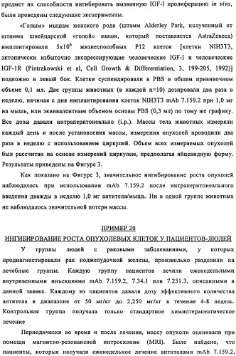 Связывающие протеины, специфичные по отношению к инсулин-подобным факторам роста, и их использование (патент 2492185)