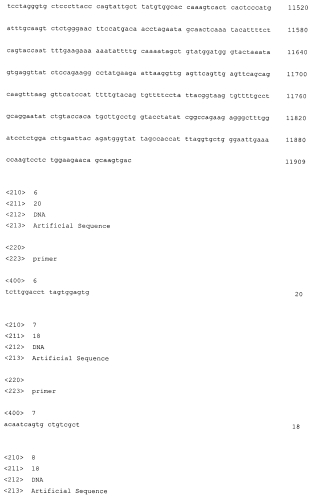 Плазмида для экспрессии в клетках сно рекомбинантного фолликулостимулирующего гормона (фсг) человека, плазмида для экспрессии в клетках сно бета-субъединицы рекомбинантного фсг человека, клетка сно - продуцент рекомбинантного фсг человека и способ получения указанного гормона (патент 2560596)