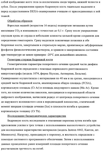 Способ лечения и предупреждения потери костной ткани (патент 2319483)