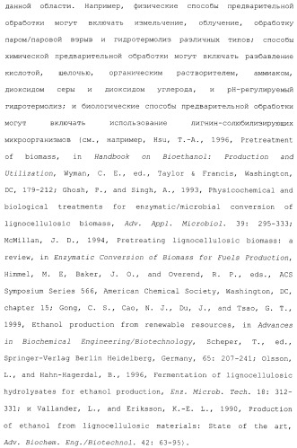Клетка-хозяин trichoderma reesei для получения целлюлолитической белковой композиции, целлюлолитическая белковая композиция, способы ее получения и применения (патент 2494146)