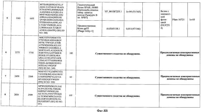 Бактериофаг, обладающий активностью против pseudomonas aeruginosa, белки бактериофага и способы их применения (патент 2580248)