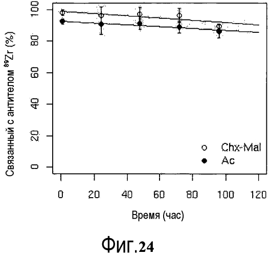 Конъюгаты меченных радиоактивным цирконием сконструированных антител с цистеиновыми заменами (патент 2562862)