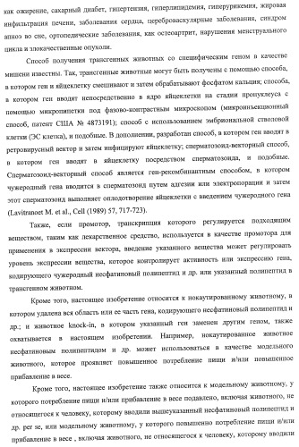 Способ получения фактора, связанного с контролем над потреблением пищи и/или массой тела, полипептид, обладающий активностью подавления потребления пищи и/или прибавления в весе, молекула нуклеиновой кислоты, кодирующая полипептид, способы и применение полипептида (патент 2418002)