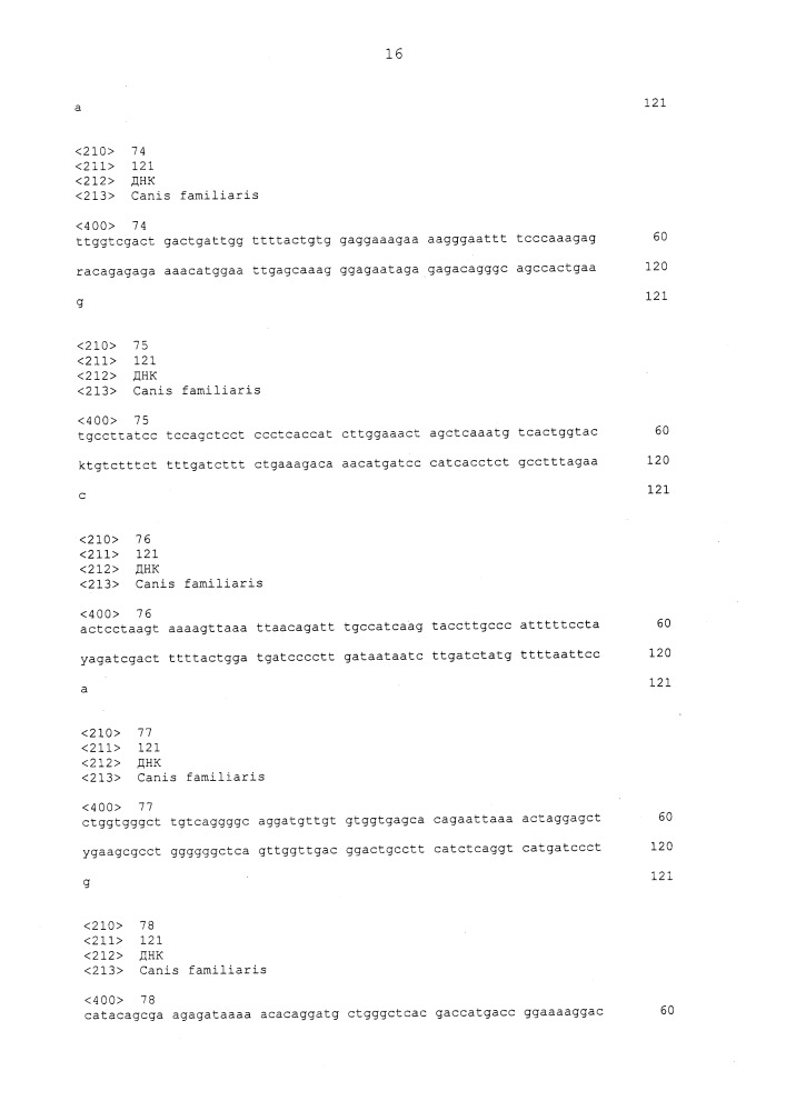 Генетический тест накопления меди в печени у собак (патент 2662660)