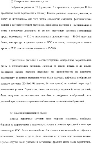 Растения с повышенной урожайностью и способ их получения (патент 2377306)