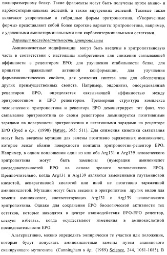 Fc-эритропоэтин слитый белок с улучшенной фармакокинетикой (патент 2370276)
