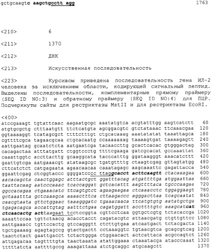 Штамм дрожжей pichia pastoris ps107(ppic9habil-2), являющийся продуцентом гибридного белка, состоящего из альбумина плазмы крови человека и интерлейкина-2 человека, рекомбинантная плазмида ppic9habil-2 и способ ее конструирования (патент 2315105)