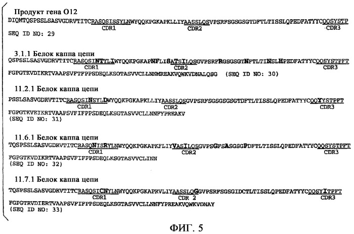 Применение антител к ctla-4 (патент 2346702)