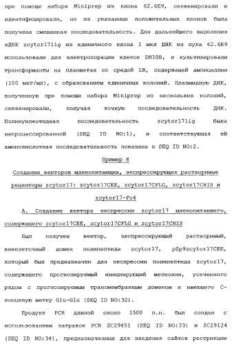 Новый лиганд рецептора цитокина zcytor17 (патент 2360923)