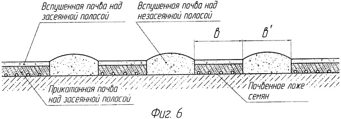 Способ и каток для ухода за полосными посевами (патент 2427996)
