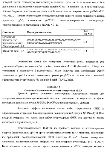 Система экспрессии компонентов ортогональной трансляции в эубактериальной клетке-хозяине (патент 2467069)