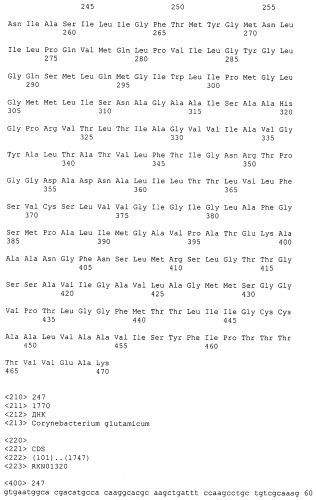 Гены corynebacterium glutamicum, кодирующие белки резистентности и толерантности к стрессам (патент 2303635)