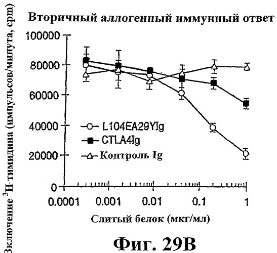 Способ лечения сердечно-сосудистого заболевания с применением растворимого ctla4 (патент 2353384)