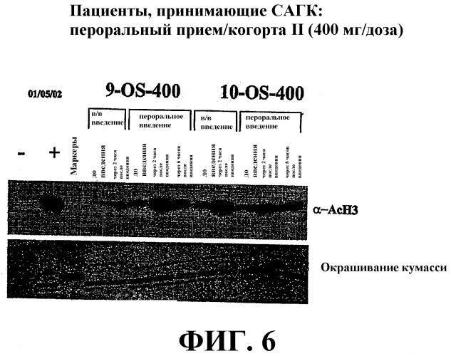 Способы индукции конечной дифференцировки (патент 2530648)