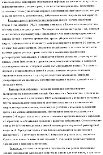 Поливалентные иммуногенные композиции pcv2 и способы получения таких композиций (патент 2488407)