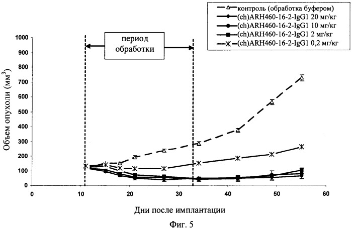 Химерные и гуманизированные антитела к cd44, которые опосредствуют цитотоксичность в отношении раковых клеток (патент 2487723)