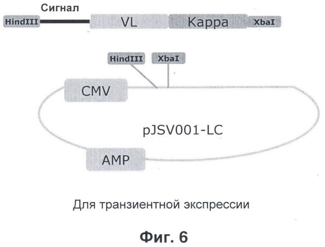 Антитела к nkg2a и их применения (патент 2499001)