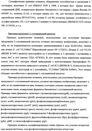 Способ получения l-треонина и l-аргинина с использованием бактерии, принадлежащей к роду escherichia, в которой инактивирован кластер генов yehabcde (патент 2337960)