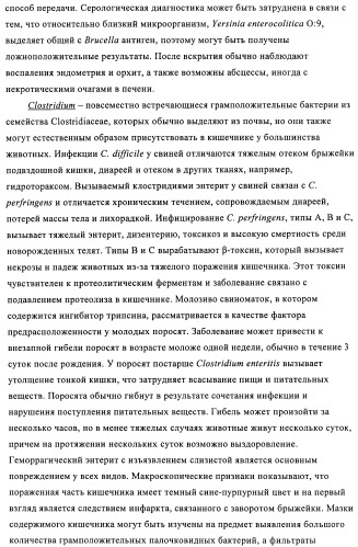 Поливалентные иммуногенные композиции pcv2 и способы получения таких композиций (патент 2488407)