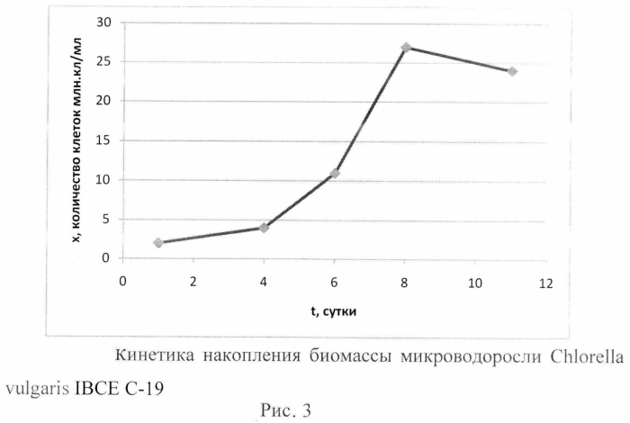 Способ культивирования биомассы с повышенным содержанием липидов (патент 2569149)