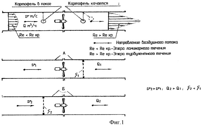 Схема посадки картофеля голубизна