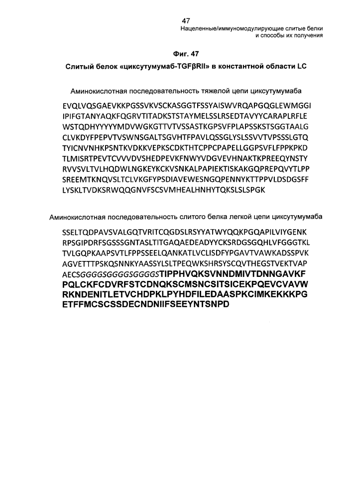 Нацеленные/иммуномодулирующие слитые белки и способы их получения (патент 2636342)