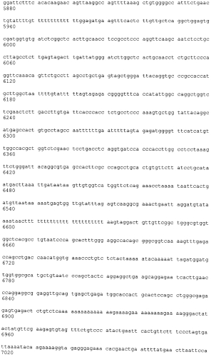 Лечение сиртуин 1 (sirt1)-связанных заболеваний путем ингибирования натурального антисмыслового транскрипта (патент 2551234)